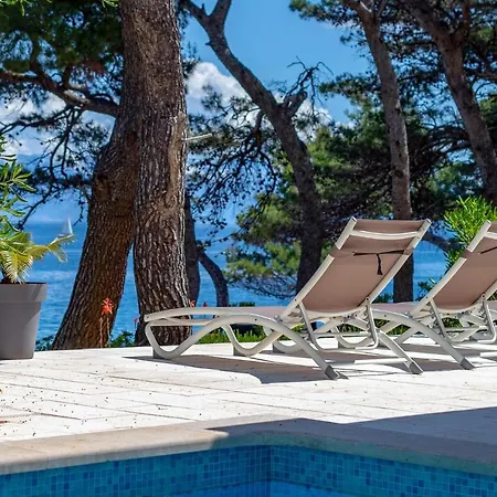 Ana Hvar *