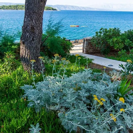 Villa Ana Hvar *