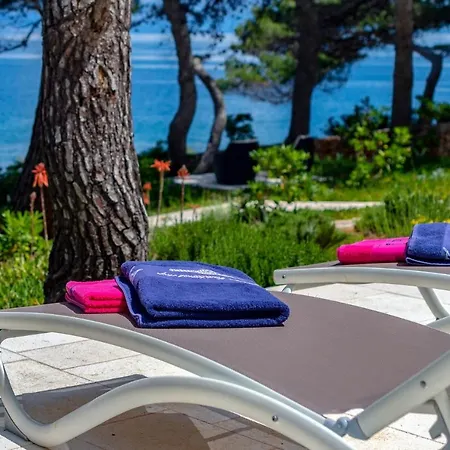 Ana Hvar *