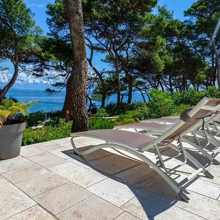Ana Hvar Willa Jelsa (Hvar)